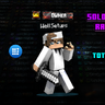 Solo Leveling Rank Pack | Total +100