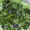 The Lost Altar |RPG|