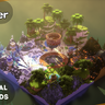 Kit PvP Arena | Full Build | Multi Biome